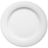 Shallow Main Meal Plate 31 cm
