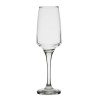 Champagne Glass, 22cl
