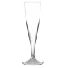 Plastic Champagne Glass